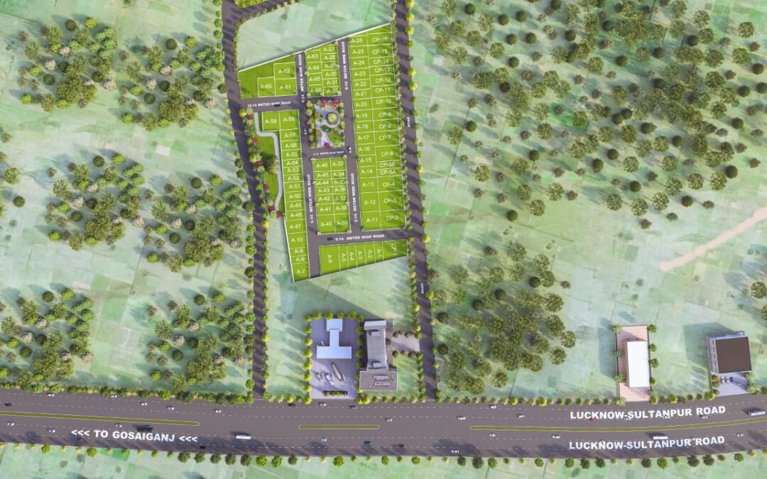 Paradise Town cat eye view