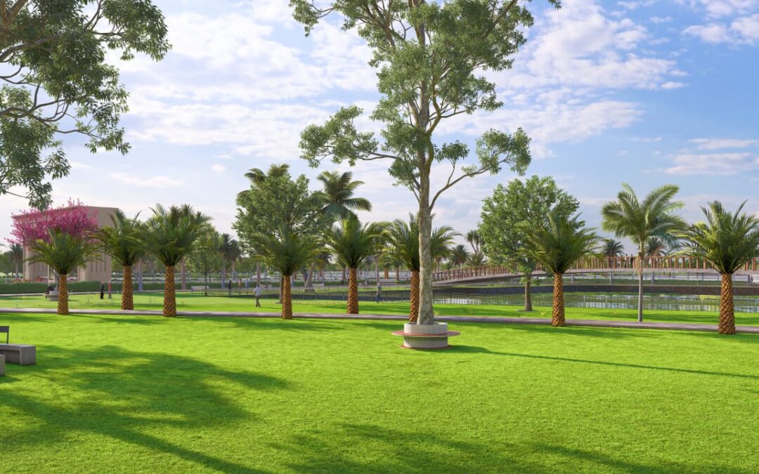 Paradise Town Landscape Pool side